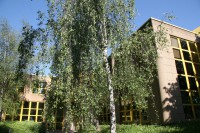 /album/sci-garlande/img-5863-jpg/